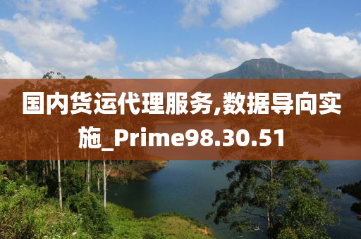 国内货运代理服务,数据导向实施_Prime98.30.51