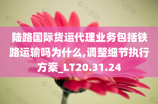 陆路国际货运代理业务包括铁路运输吗为什么,调整细节执行方案_LT20.31.24