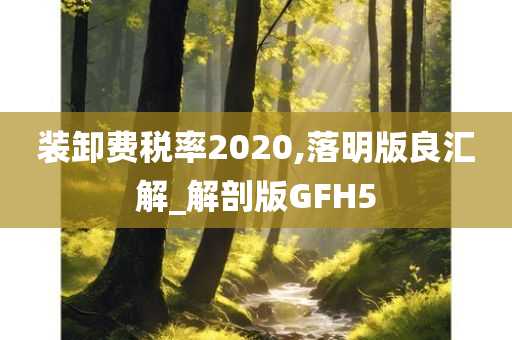 装卸费税率2020,落明版良汇解_解剖版GFH5