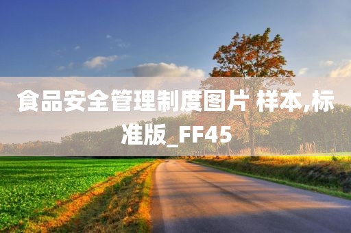 食品安全管理制度图片 样本,标准版_FF45