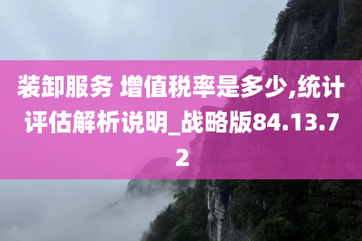 装卸服务 增值税率是多少,统计评估解析说明_战略版84.13.72