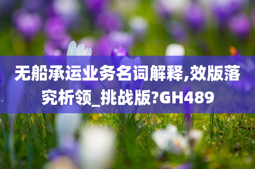 无船承运业务名词解释,效版落究析领_挑战版?GH489