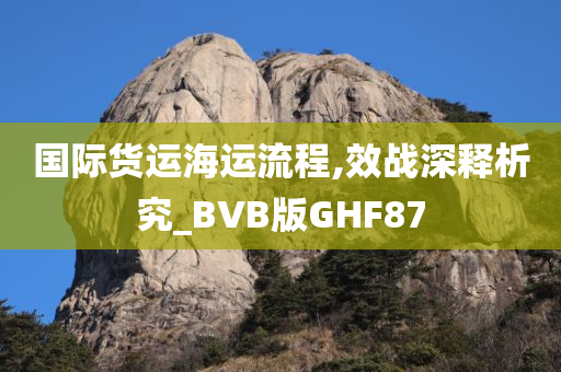 国际货运海运流程,效战深释析究_BVB版GHF87