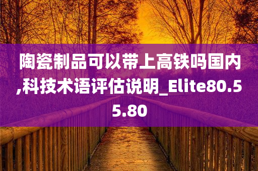 陶瓷制品可以带上高铁吗国内,科技术语评估说明_Elite80.55.80