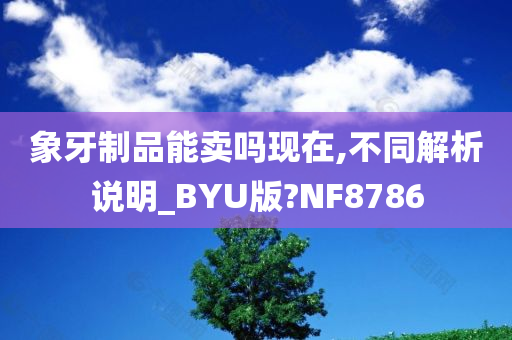 象牙制品能卖吗现在,不同解析说明_BYU版?NF8786