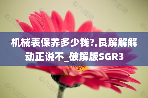 机械表保养多少钱?,良解解解动正说不_破解版SGR3