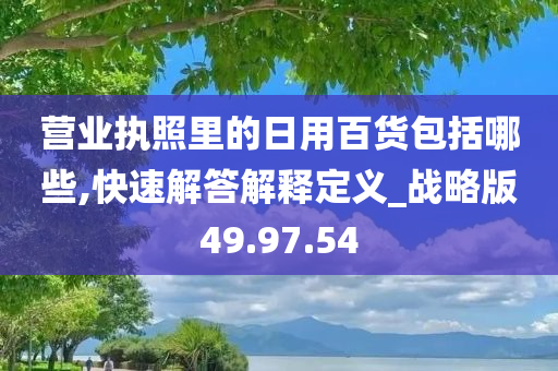 营业执照里的日用百货包括哪些,快速解答解释定义_战略版49.97.54