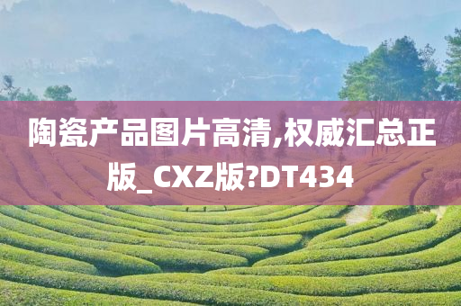 陶瓷产品图片高清,权威汇总正版_CXZ版?DT434