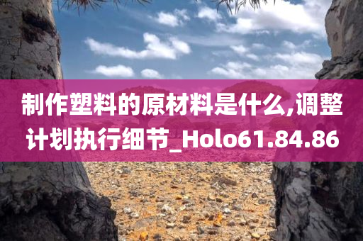 制作塑料的原材料是什么,调整计划执行细节_Holo61.84.86