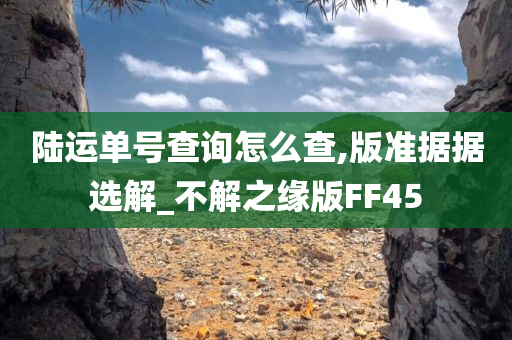 陆运单号查询怎么查,版准据据选解_不解之缘版FF45