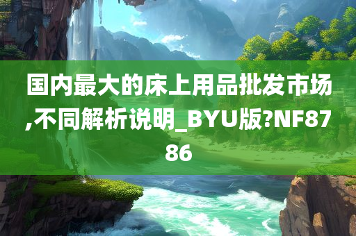 国内最大的床上用品批发市场,不同解析说明_BYU版?NF8786