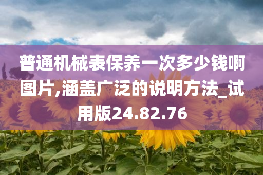 普通机械表保养一次多少钱啊图片,涵盖广泛的说明方法_试用版24.82.76