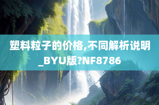 塑料粒子的价格,不同解析说明_BYU版?NF8786