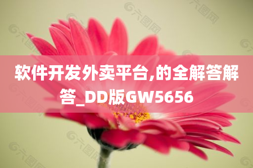 软件开发外卖平台,的全解答解答_DD版GW5656