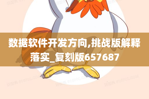 数据软件开发方向,挑战版解释落实_复刻版657687