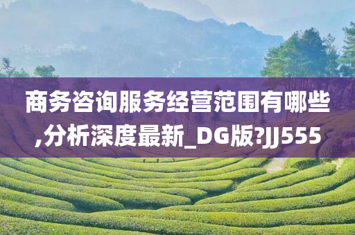 商务咨询服务经营范围有哪些,分析深度最新_DG版?JJ555