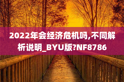 2022年会经济危机吗,不同解析说明_BYU版?NF8786