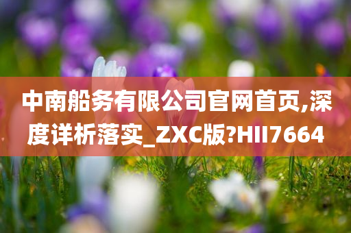 中南船务有限公司官网首页,深度详析落实_ZXC版?HII7664