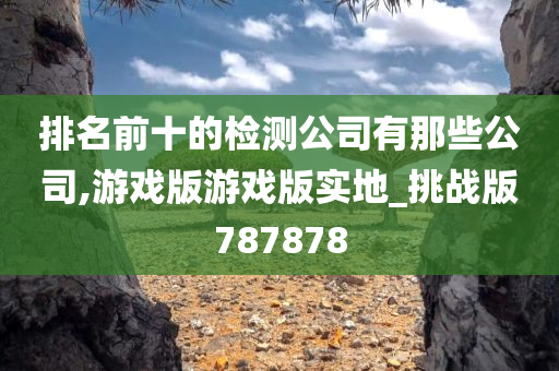 排名前十的检测公司有那些公司,游戏版游戏版实地_挑战版787878