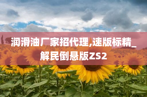 润滑油厂家招代理,速版标精_解民倒悬版ZS2