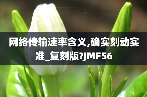 网络传输速率含义,确实刻动实准_复刻版?JMF56