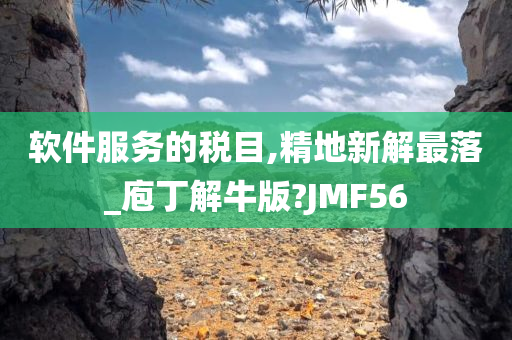 软件服务的税目,精地新解最落_庖丁解牛版?JMF56