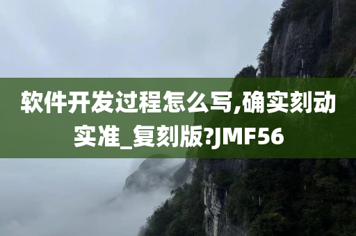 软件开发过程怎么写,确实刻动实准_复刻版?JMF56