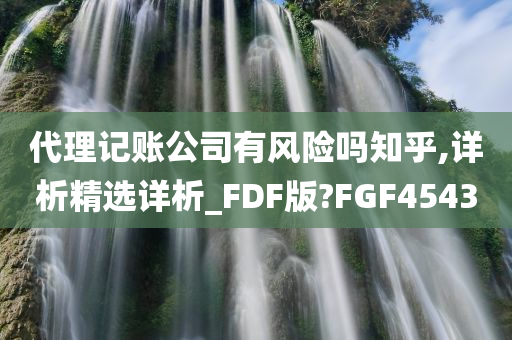 代理记账公司有风险吗知乎,详析精选详析_FDF版?FGF4543