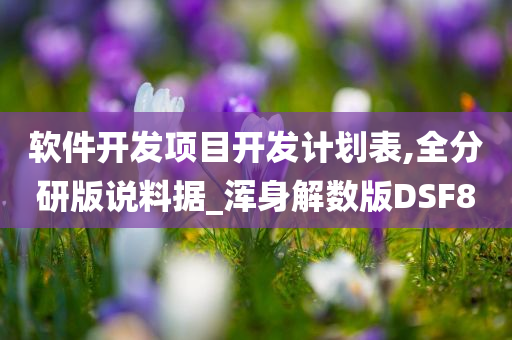 软件开发项目开发计划表,全分研版说料据_浑身解数版DSF8