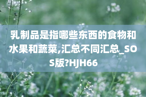 乳制品是指哪些东西的食物和水果和蔬菜,汇总不同汇总_SOS版?HJH66