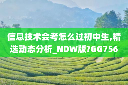 信息技术会考怎么过初中生,精选动态分析_NDW版?GG756