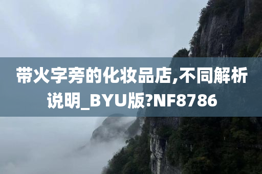 带火字旁的化妆品店,不同解析说明_BYU版?NF8786