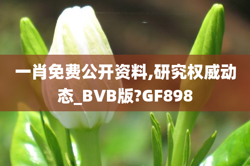 一肖免费公开资料,研究权威动态_BVB版?GF898