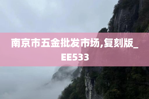 南京市五金批发市场,复刻版_EE533