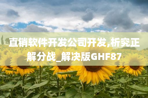 直销软件开发公司开发,析究正解分战_解决版GHF87