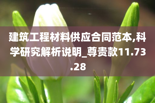 建筑工程材料供应合同范本,科学研究解析说明_尊贵款11.73.28