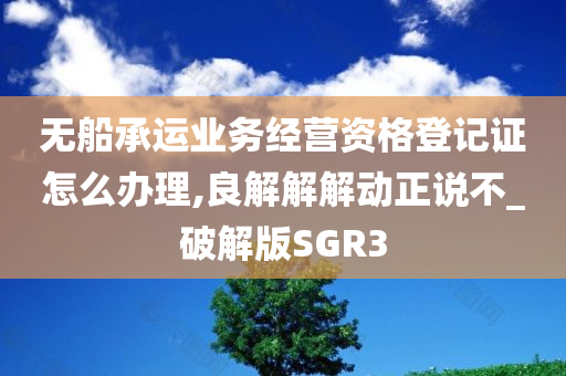 无船承运业务经营资格登记证怎么办理,良解解解动正说不_破解版SGR3