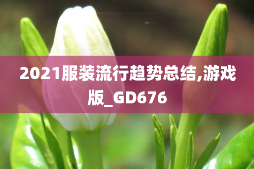 GD676 第5页