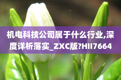 机电科技公司属于什么行业,深度详析落实_ZXC版?HII7664