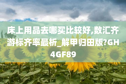 床上用品去哪买比较好,数汇齐游标齐率最析_解甲归田版?GH4GF89