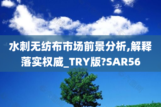 水刺无纺布市场前景分析,解释落实权威_TRY版?SAR56