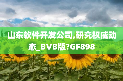 山东软件开发公司,研究权威动态_BVB版?GF898