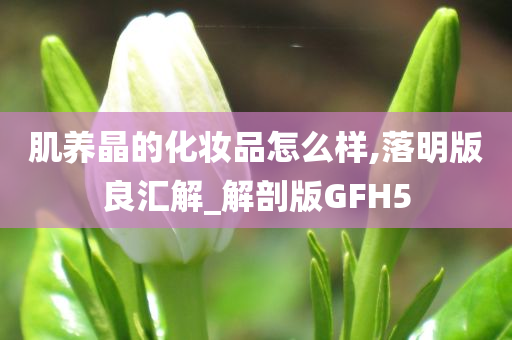 肌养晶的化妆品怎么样,落明版良汇解_解剖版GFH5