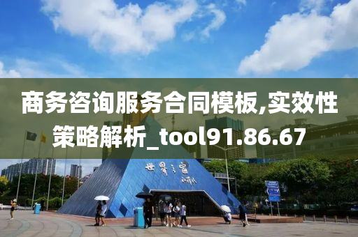 商务咨询服务合同模板,实效性策略解析_tool91.86.67