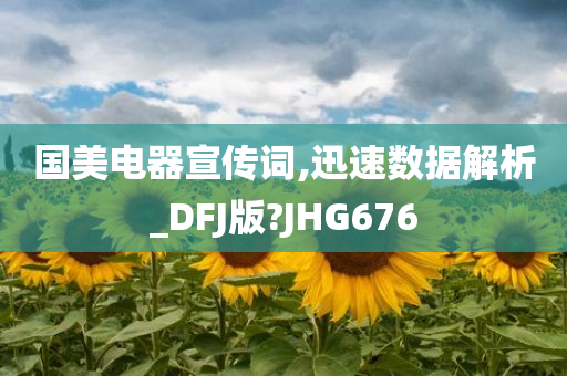 国美电器宣传词,迅速数据解析_DFJ版?JHG676