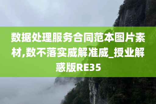 数据处理服务合同范本图片素材,数不落实威解准威_授业解惑版RE35