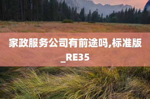 家政服务公司有前途吗,标准版_RE35