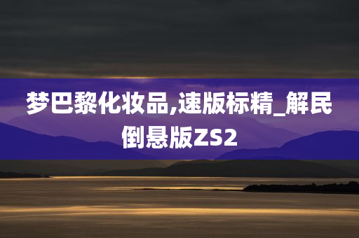 梦巴黎化妆品,速版标精_解民倒悬版ZS2