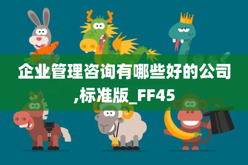 企业管理咨询有哪些好的公司,标准版_FF45