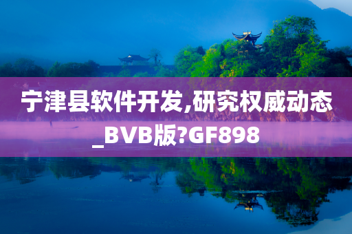 宁津县软件开发,研究权威动态_BVB版?GF898